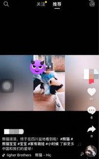 重庆动物园爆料新闻视频,神秘动物亮相，揭秘背后故事